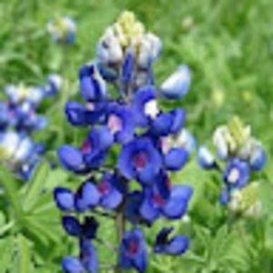 Meet your Posher, Andy